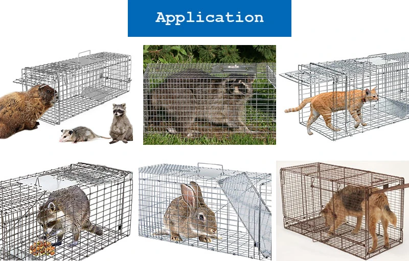 Outdoor Wildlife Animal Live Catch Trap Cage Wholesale Price