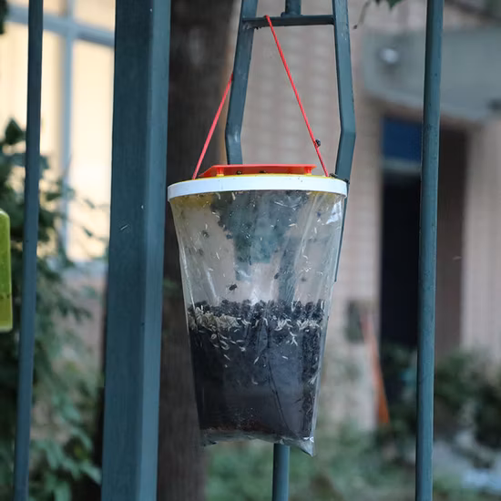 Fly Away Trap, Fly Trap Insect Control